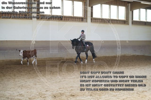 s_K3F02012.JPG